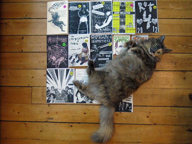 Cat lying on a pile of zines